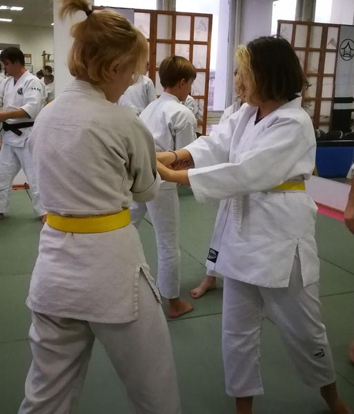 Aikibudo35