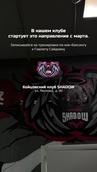 Спортивный клуб Shadow Team